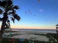 Enjoyed watching the Pelicans cruise by the suites all afternoon!