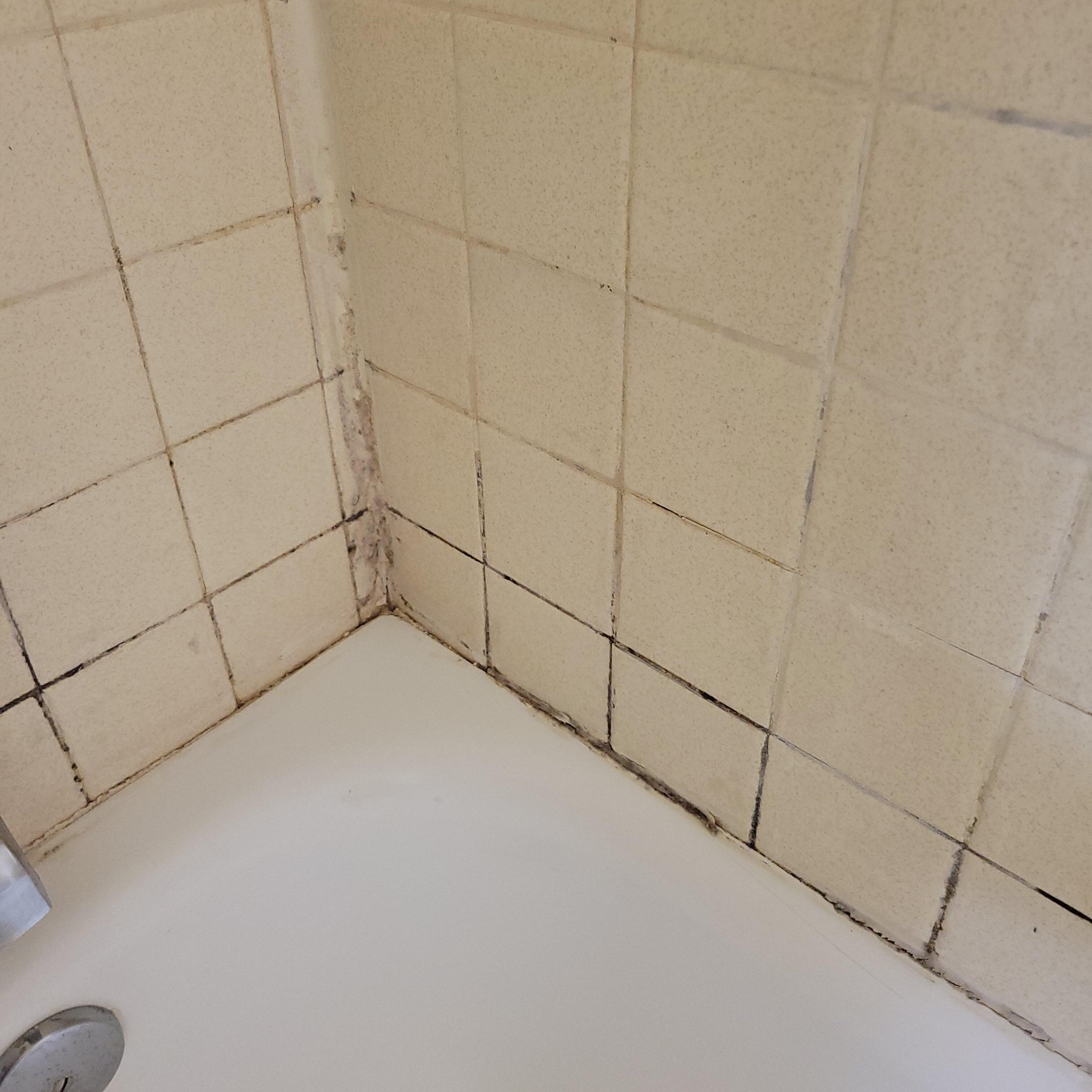 Moldy bathroom