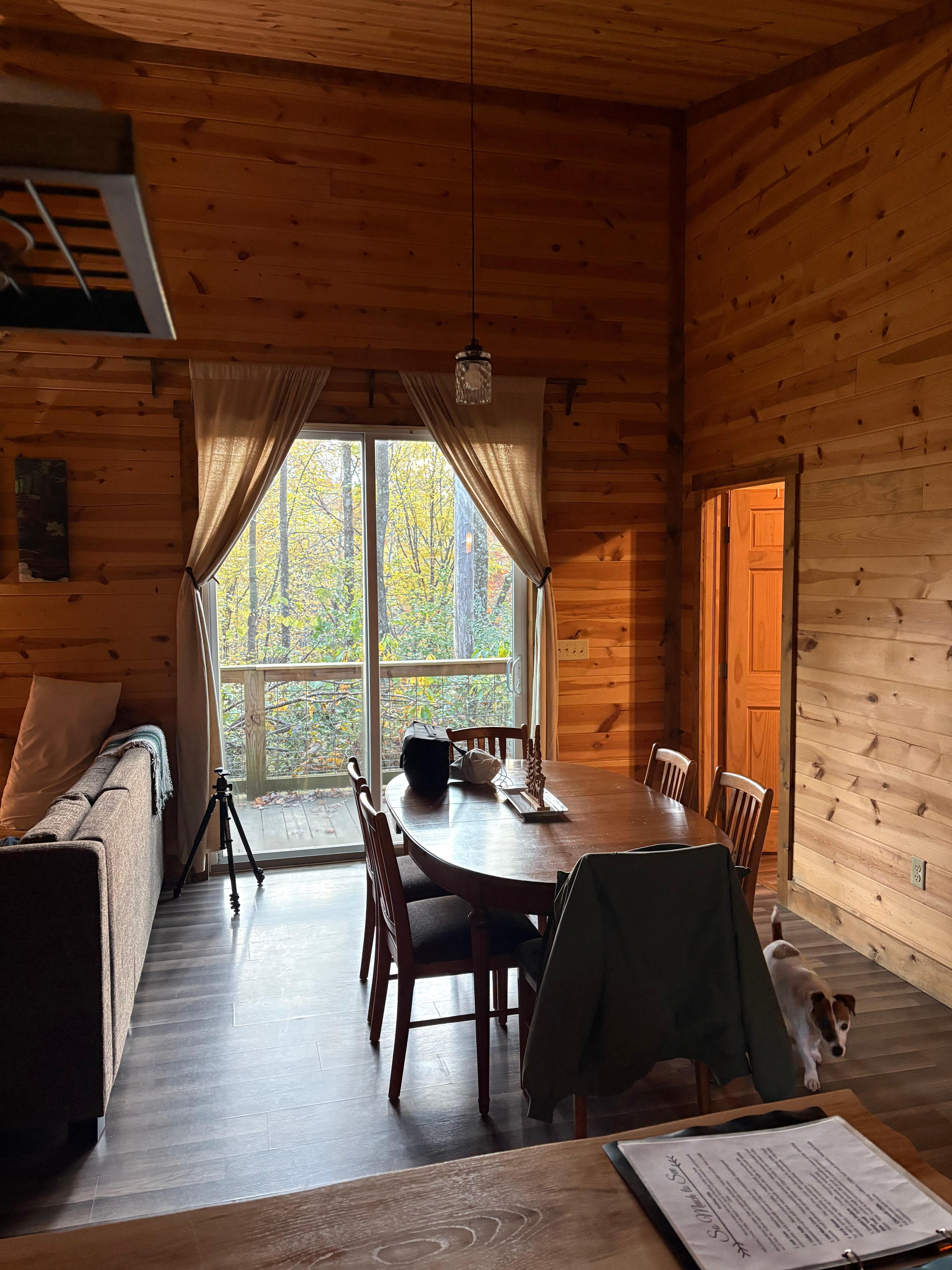 Beautiful woods out each window