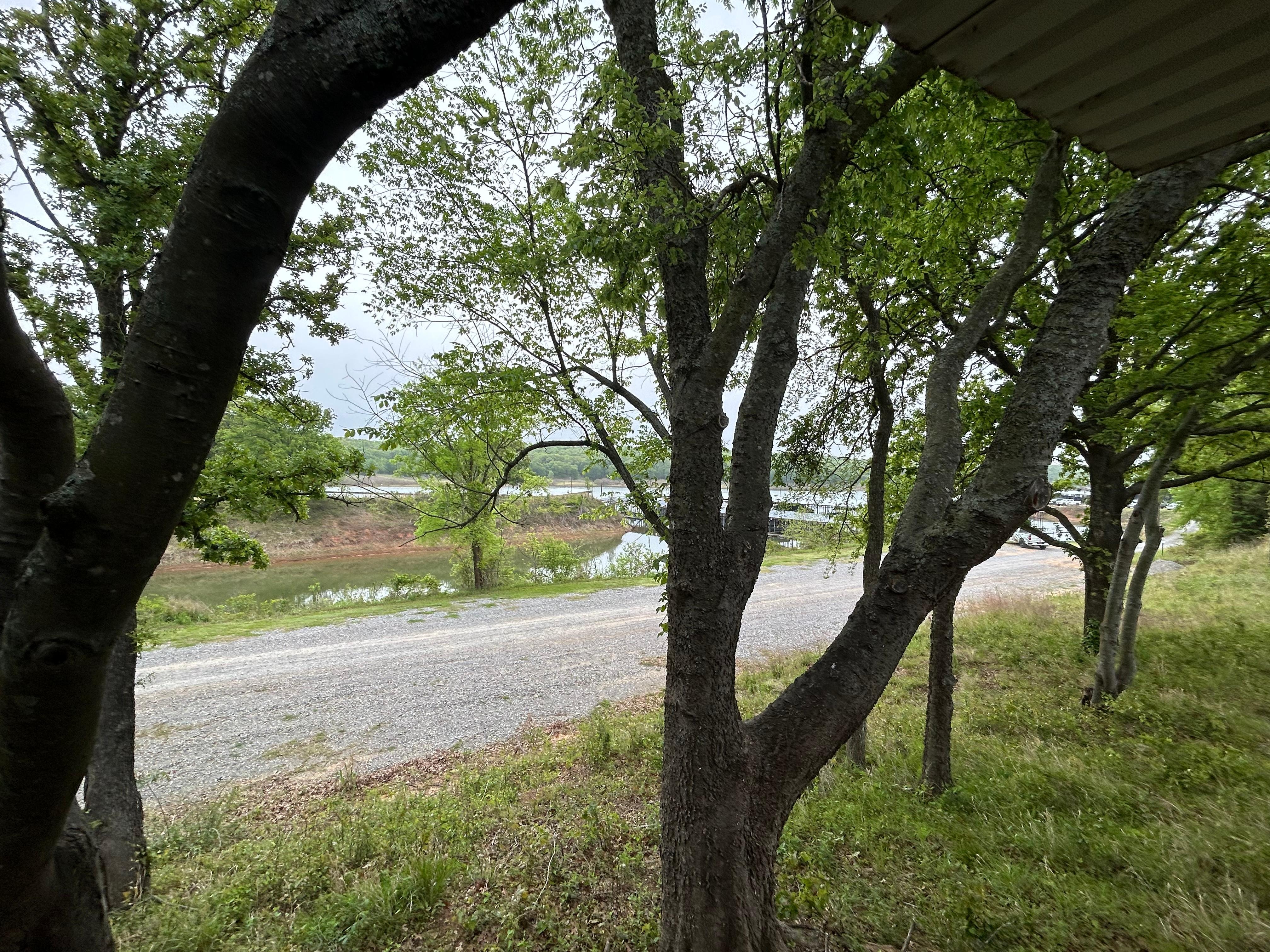 From the back porch. 