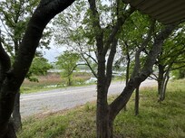 From the back porch.