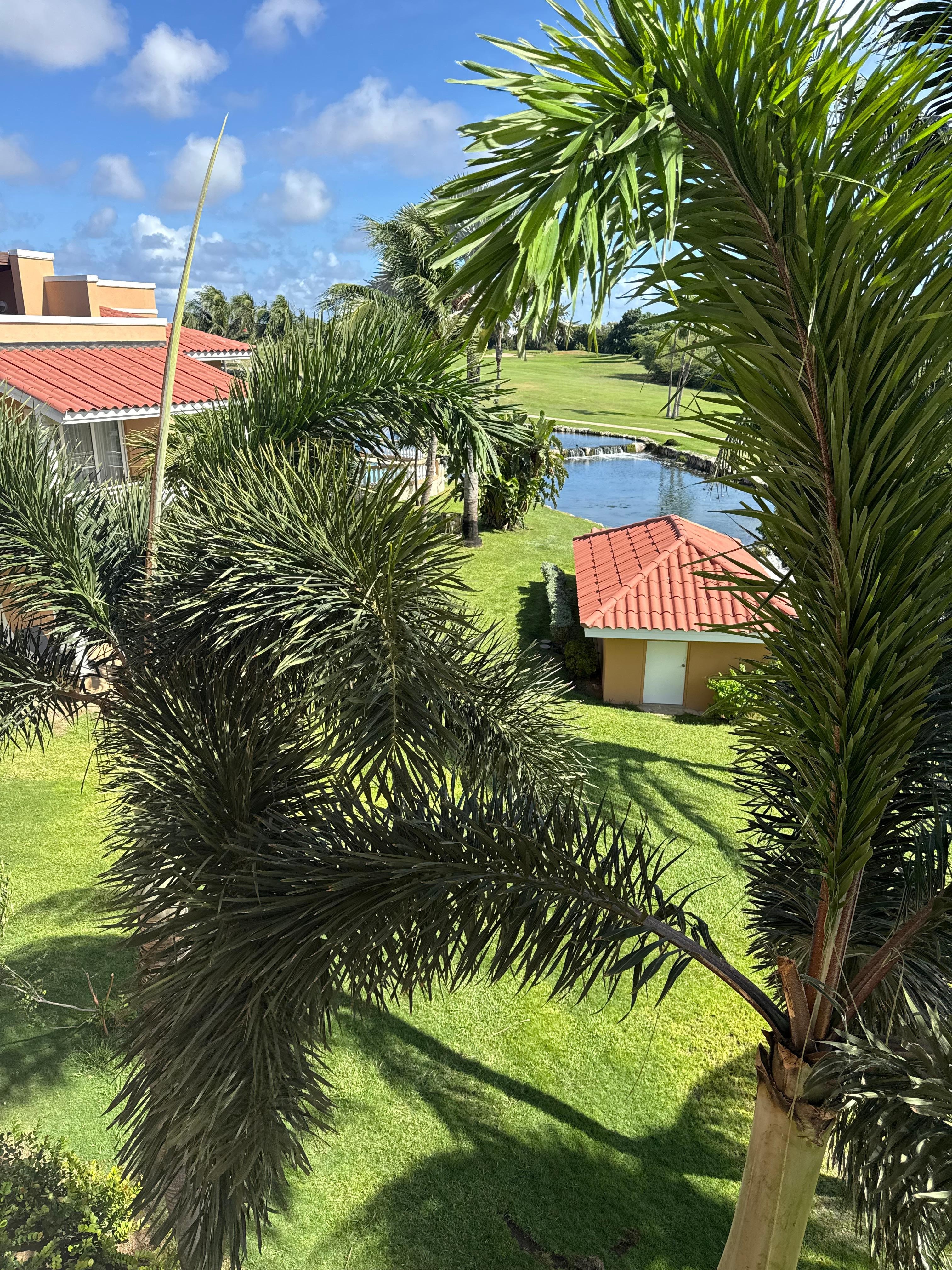 View from the balcony after waking from a nap. 