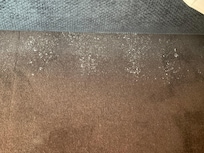 White powdery stuff under my bed