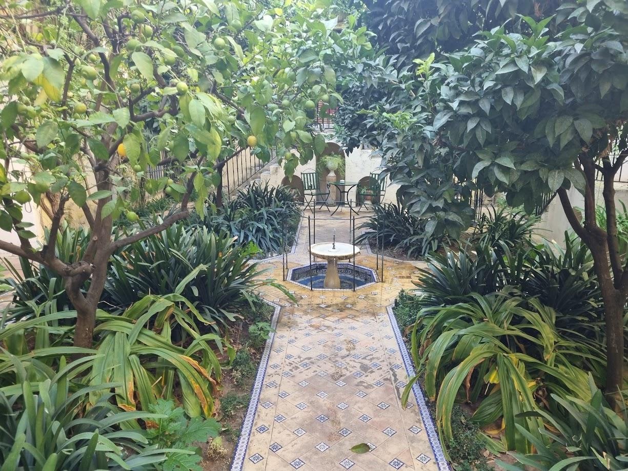 One of the many courtyards in the hotel to relax in. 
