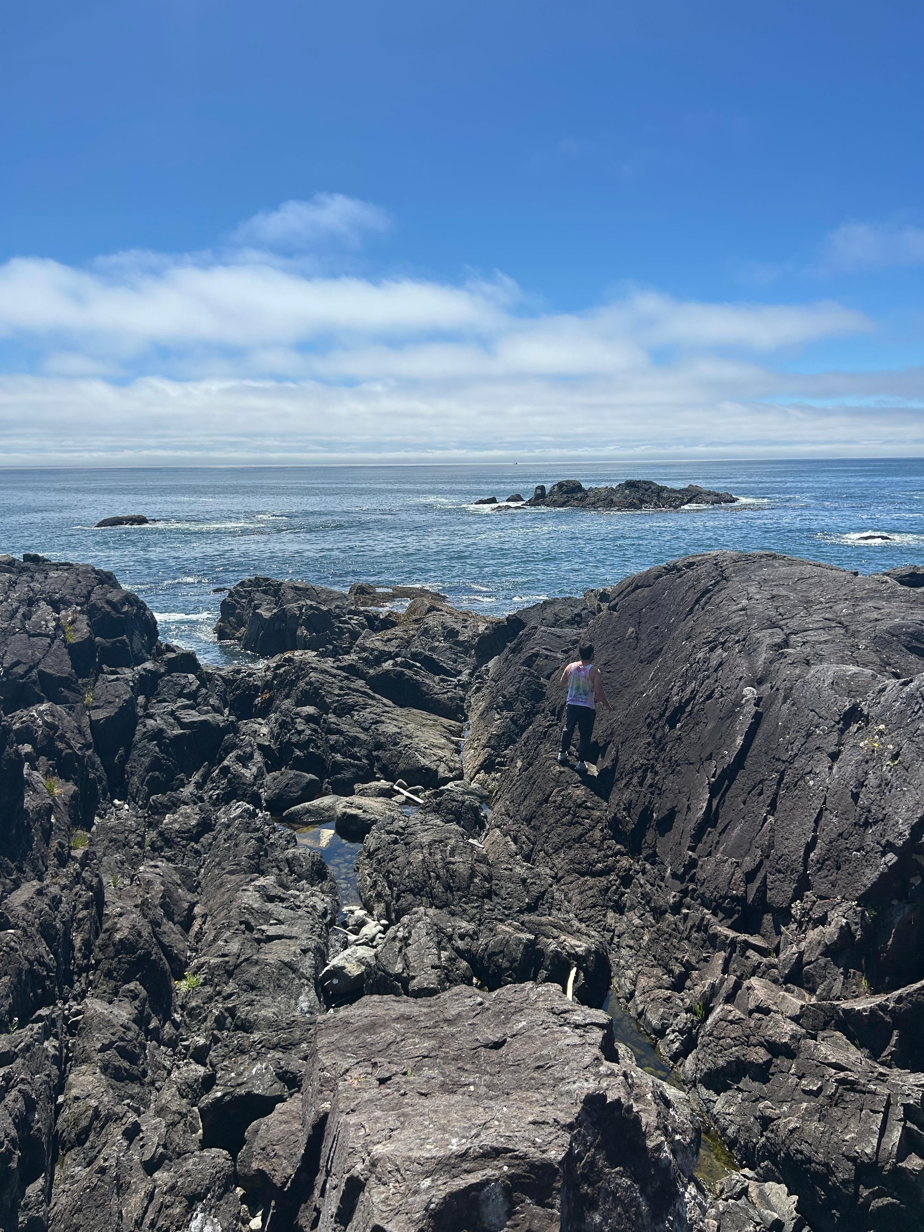 View from the wild pacific trail