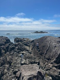 View from the wild pacific trail