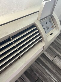 Filthy vents bad smell maybe mold