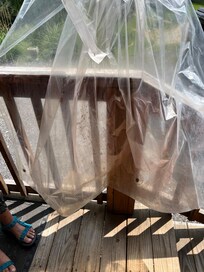 Mold in curtains