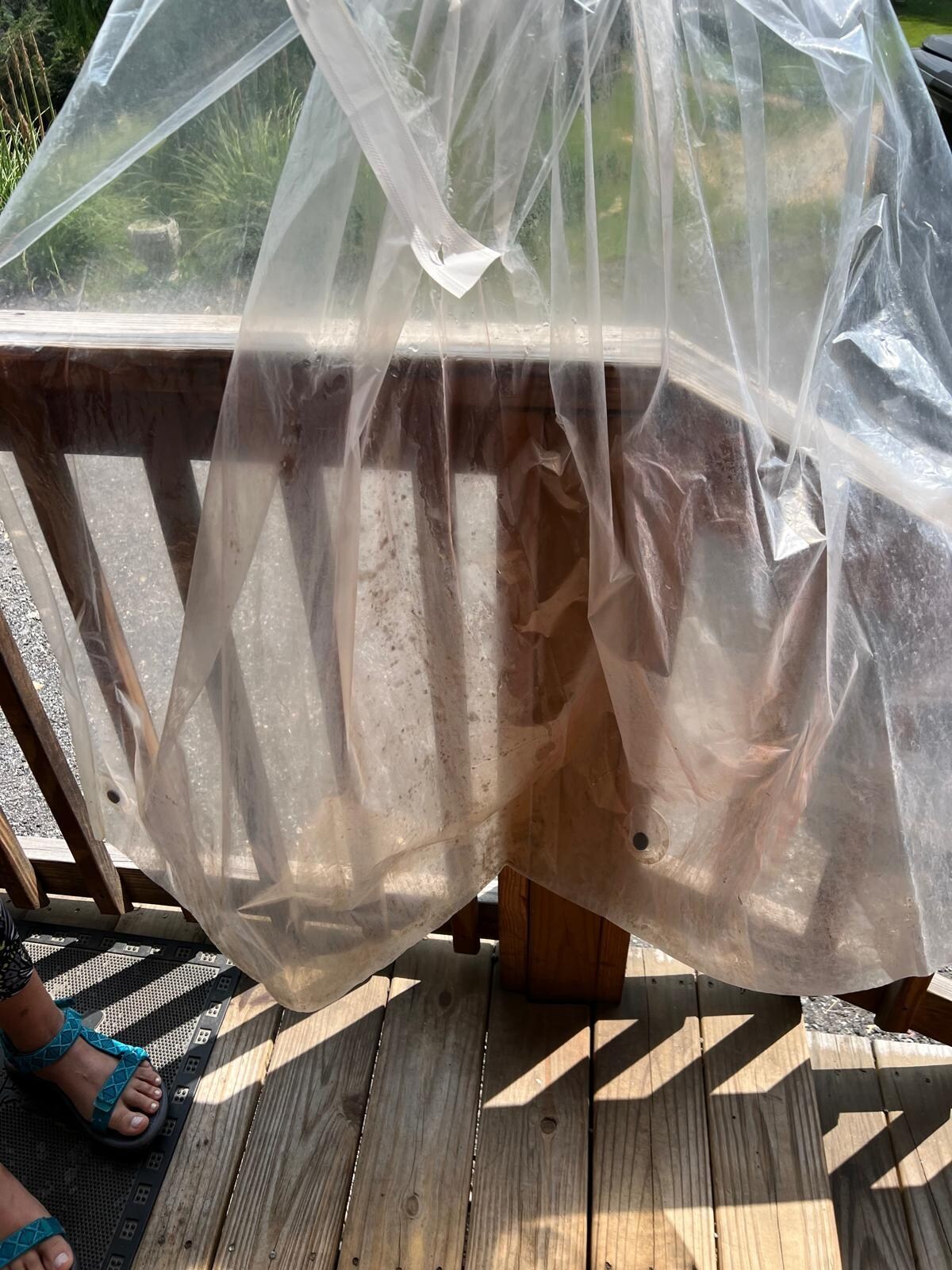 Mold in curtains 