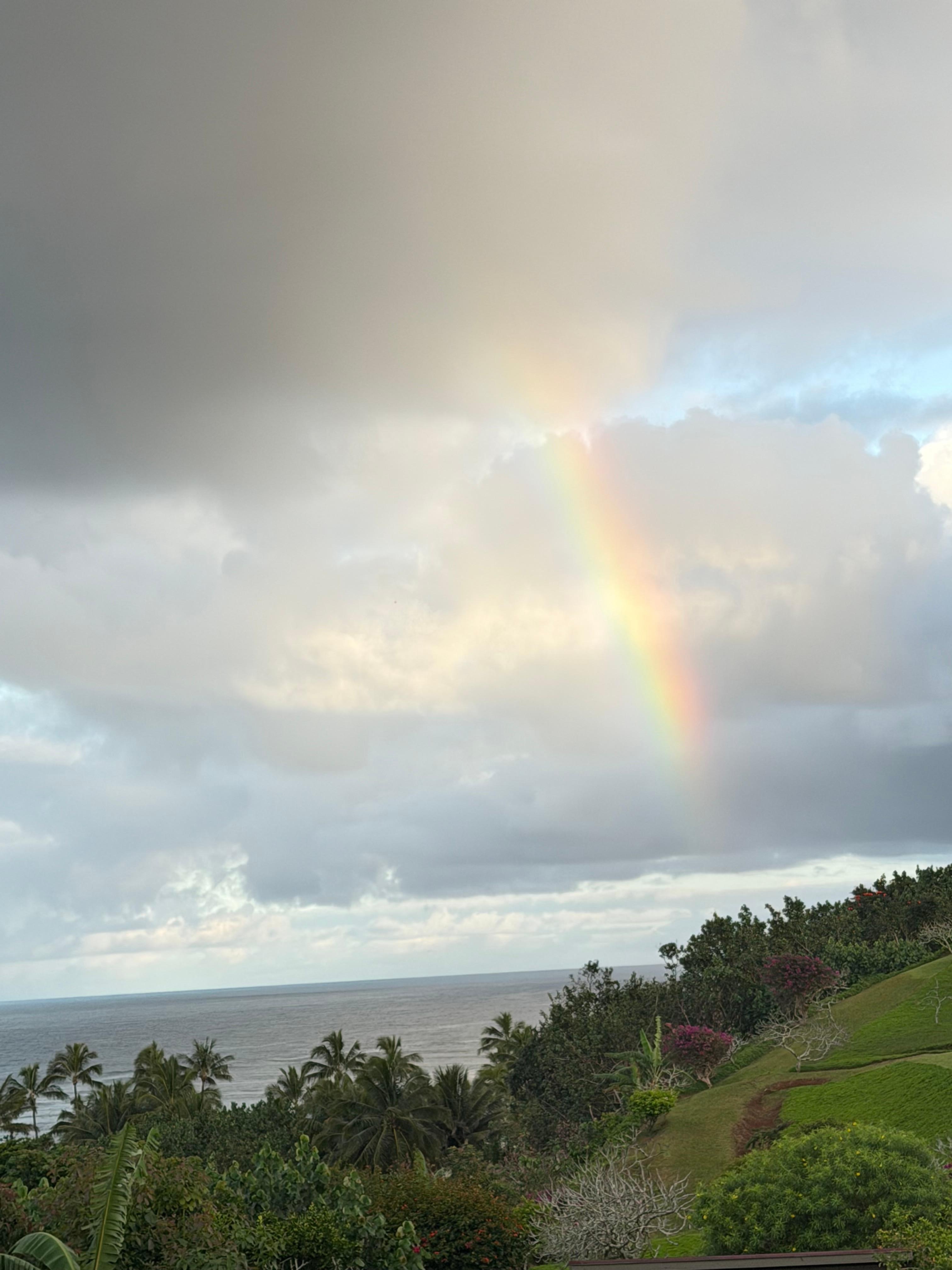 Morning view after a sprinkle😍