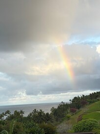 Morning view after a sprinkle😍