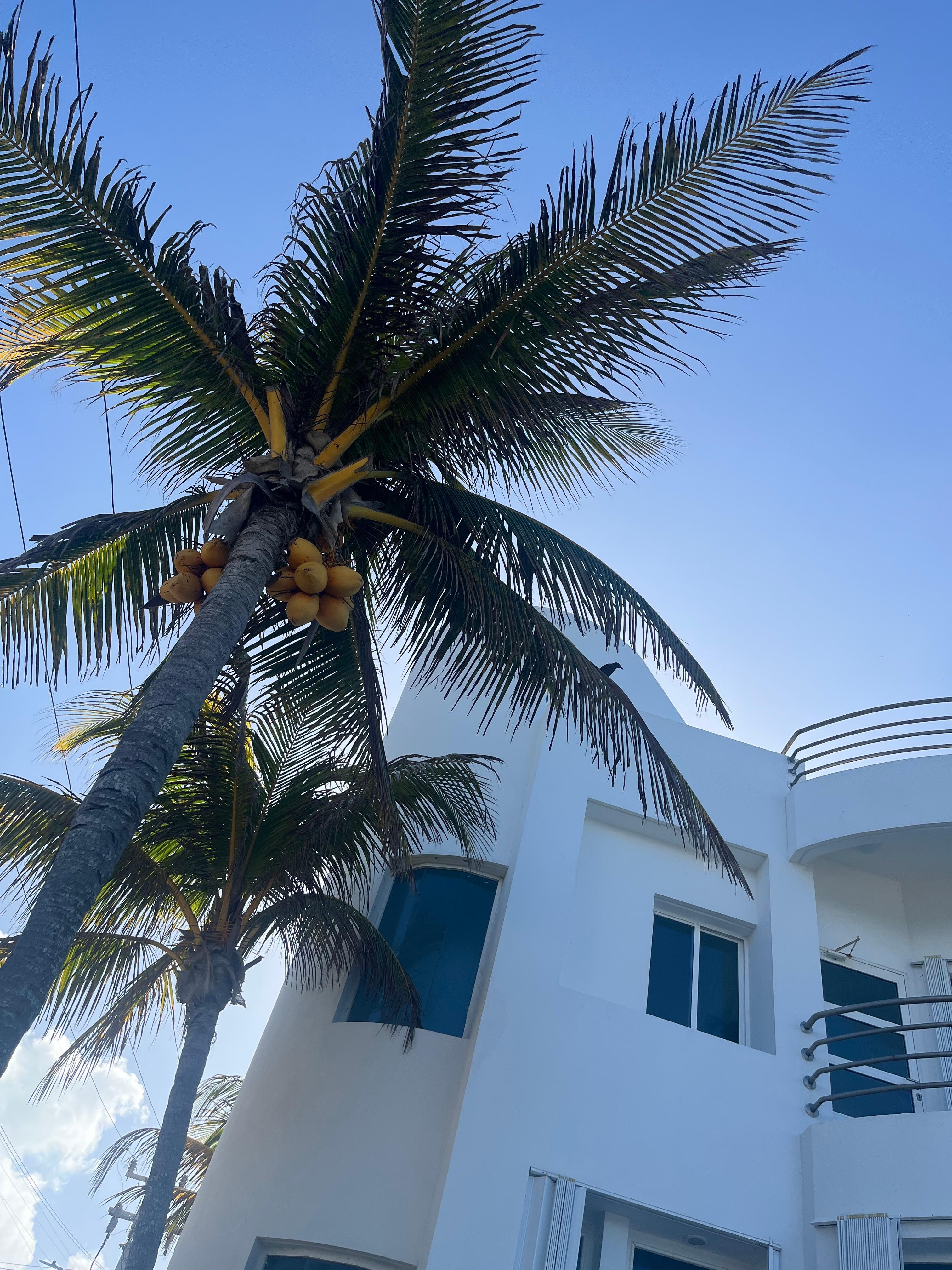 Relaxing by the pool. No filters needed ;)😎