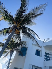 Relaxing by the pool. No filters needed ;)😎