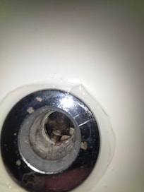 Bathtub drain full of hair that is NOT mine