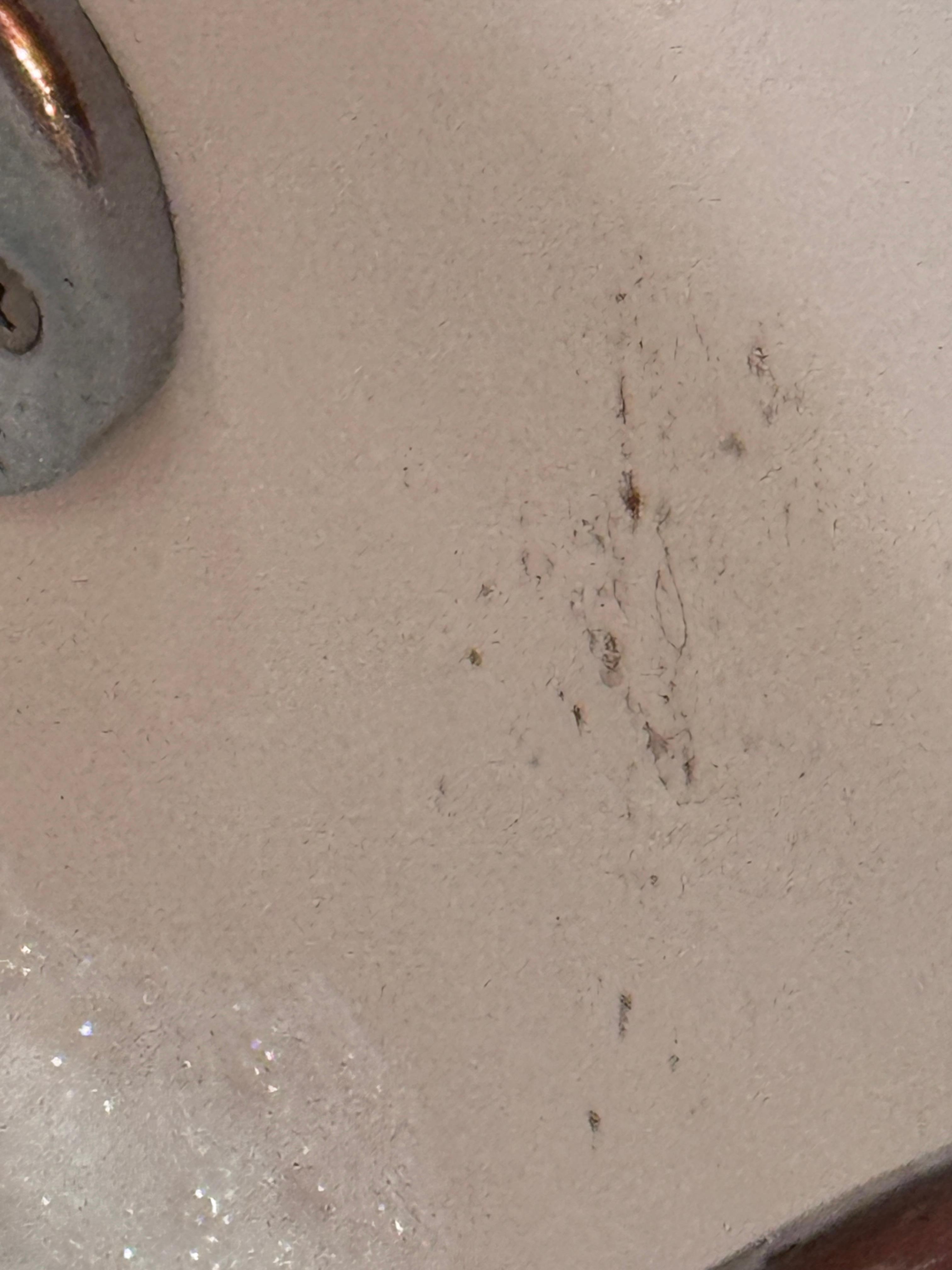 Bedroom whirlpool tub to the right 