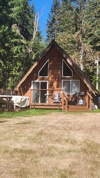 Backyard view