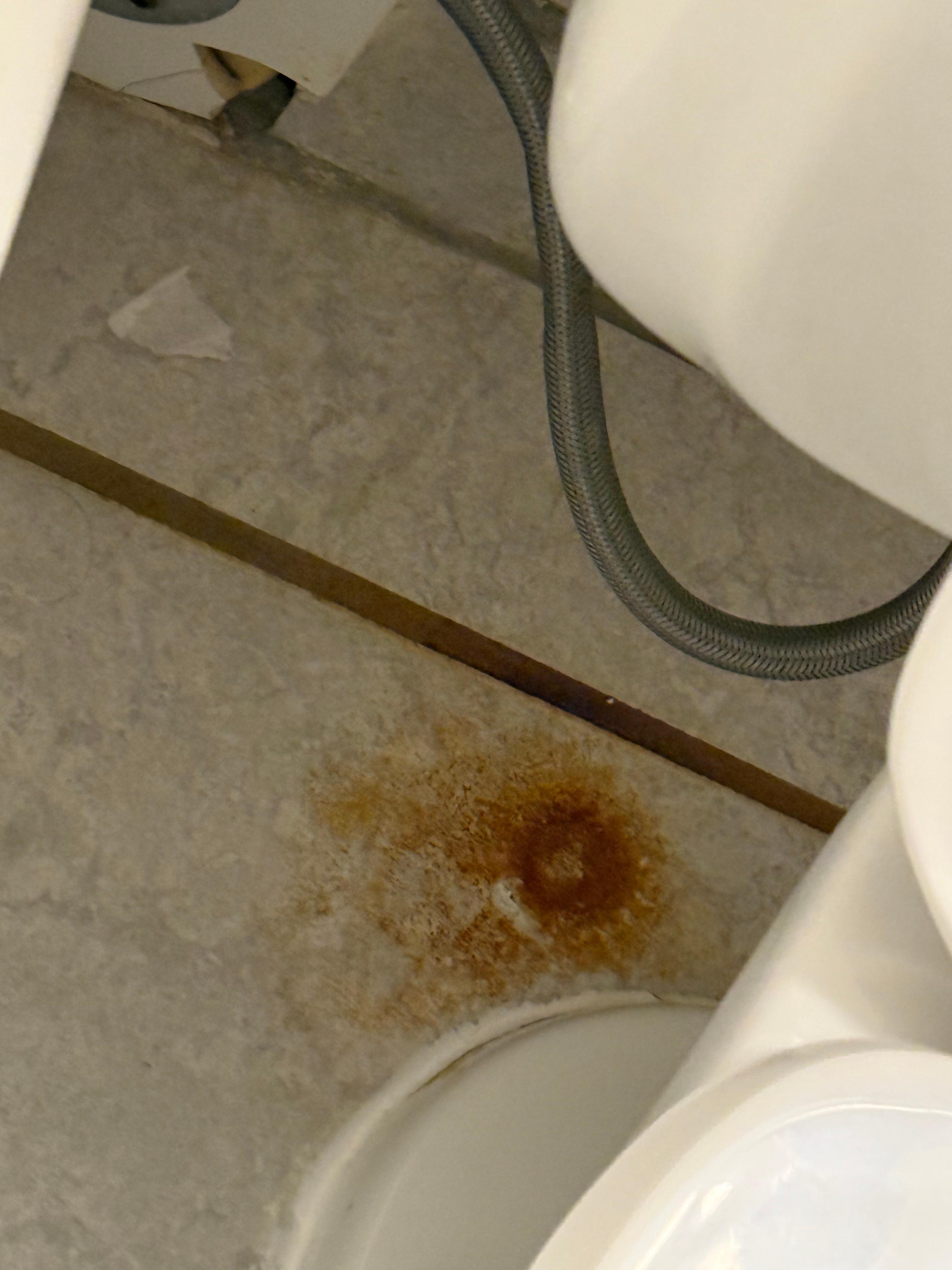 Rust stains under toilet