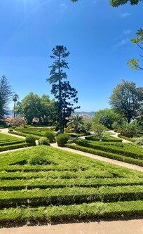 Botanical Garden opposite apartment