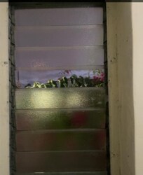 La ventana del baño