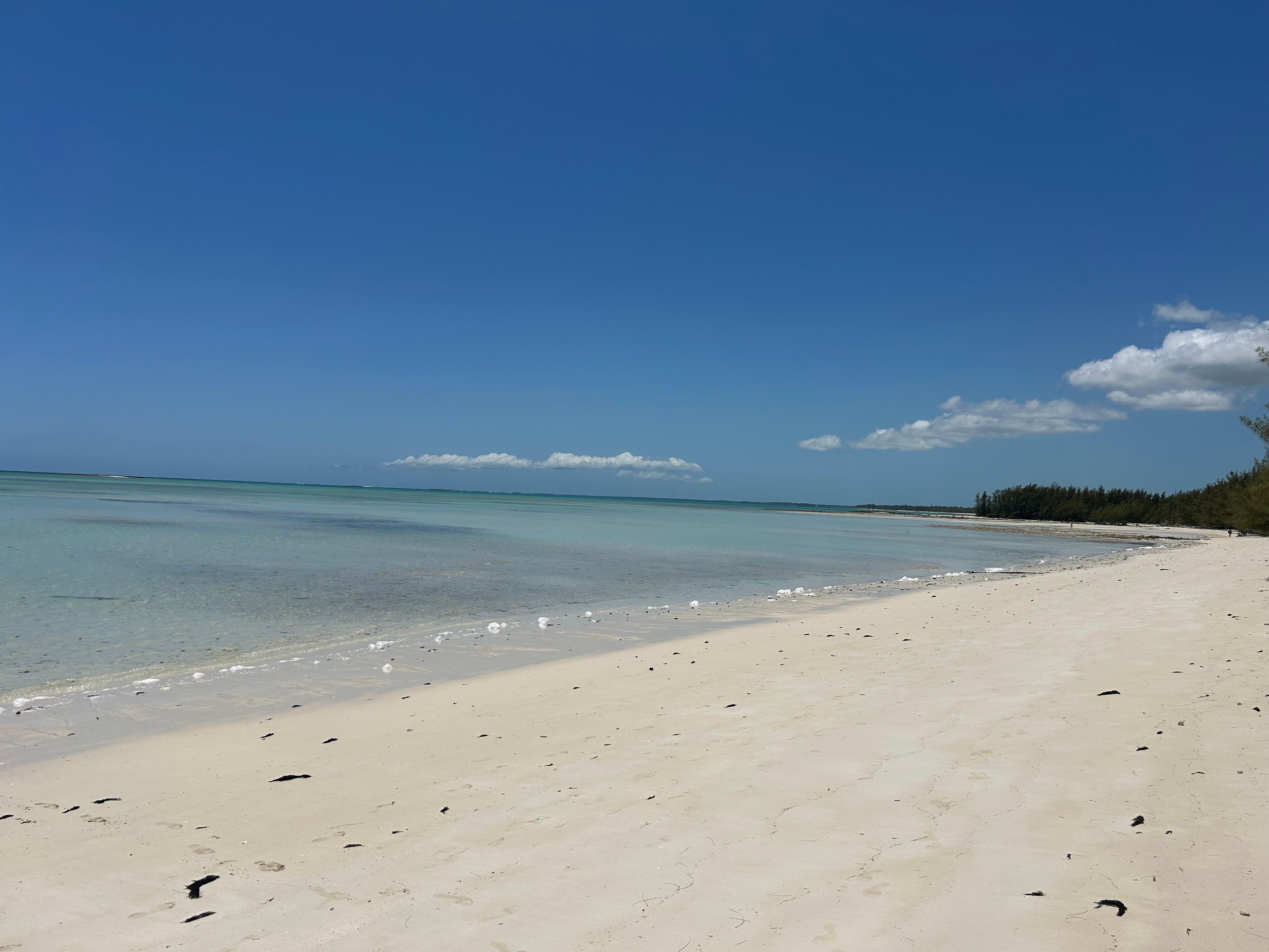 Beautiful walkable beach right out your door!