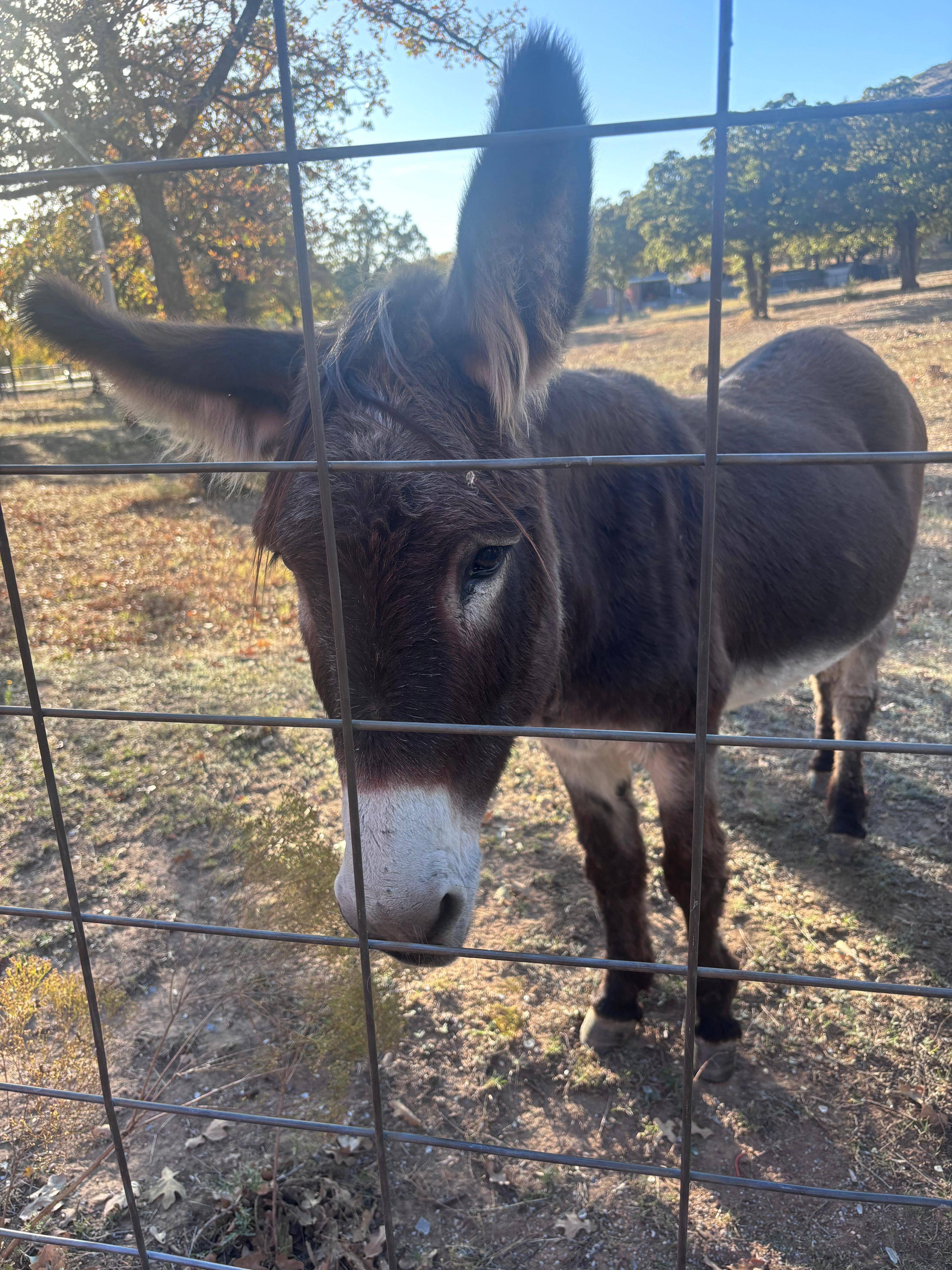 Our welcoming committee!! 💗