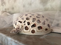 Products from the on site ceramic work shop