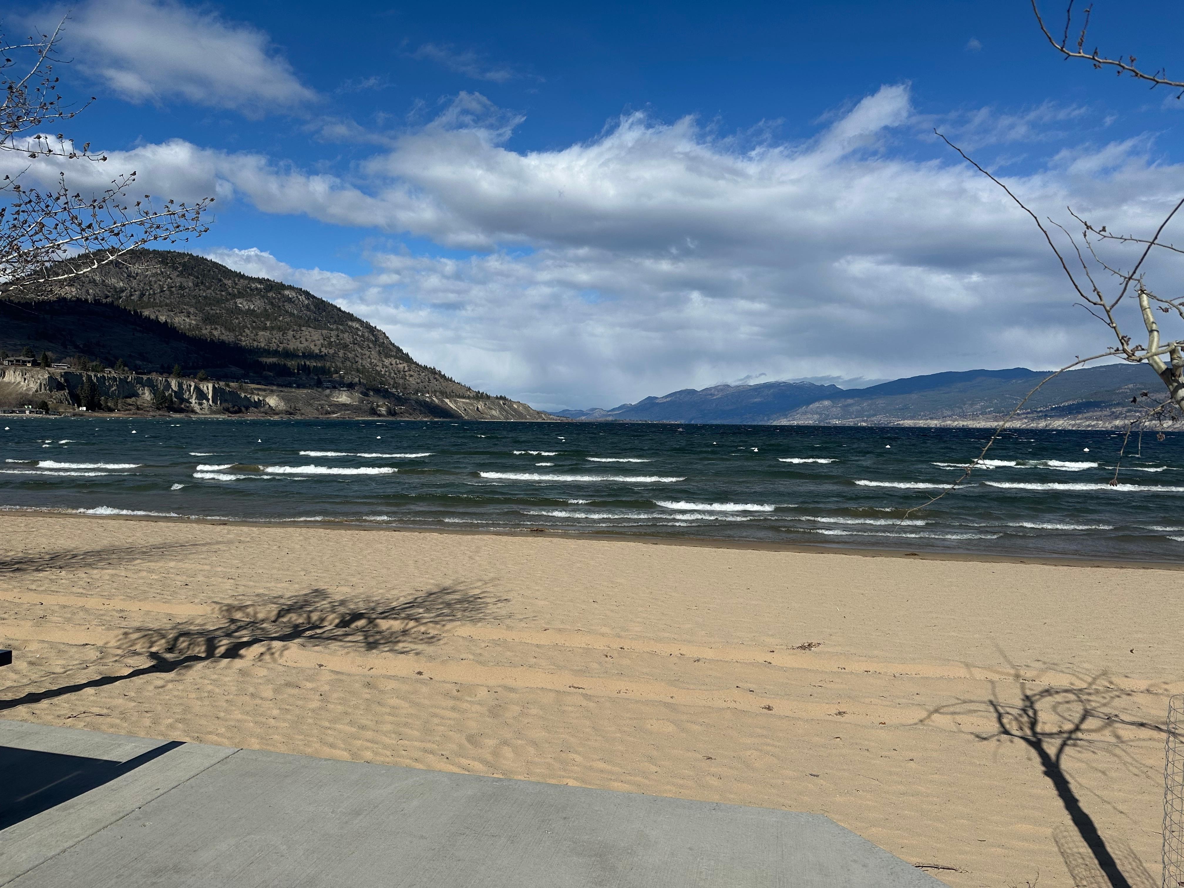 Across the street view. 