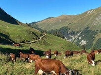 Col des Annes, Grand Bornant