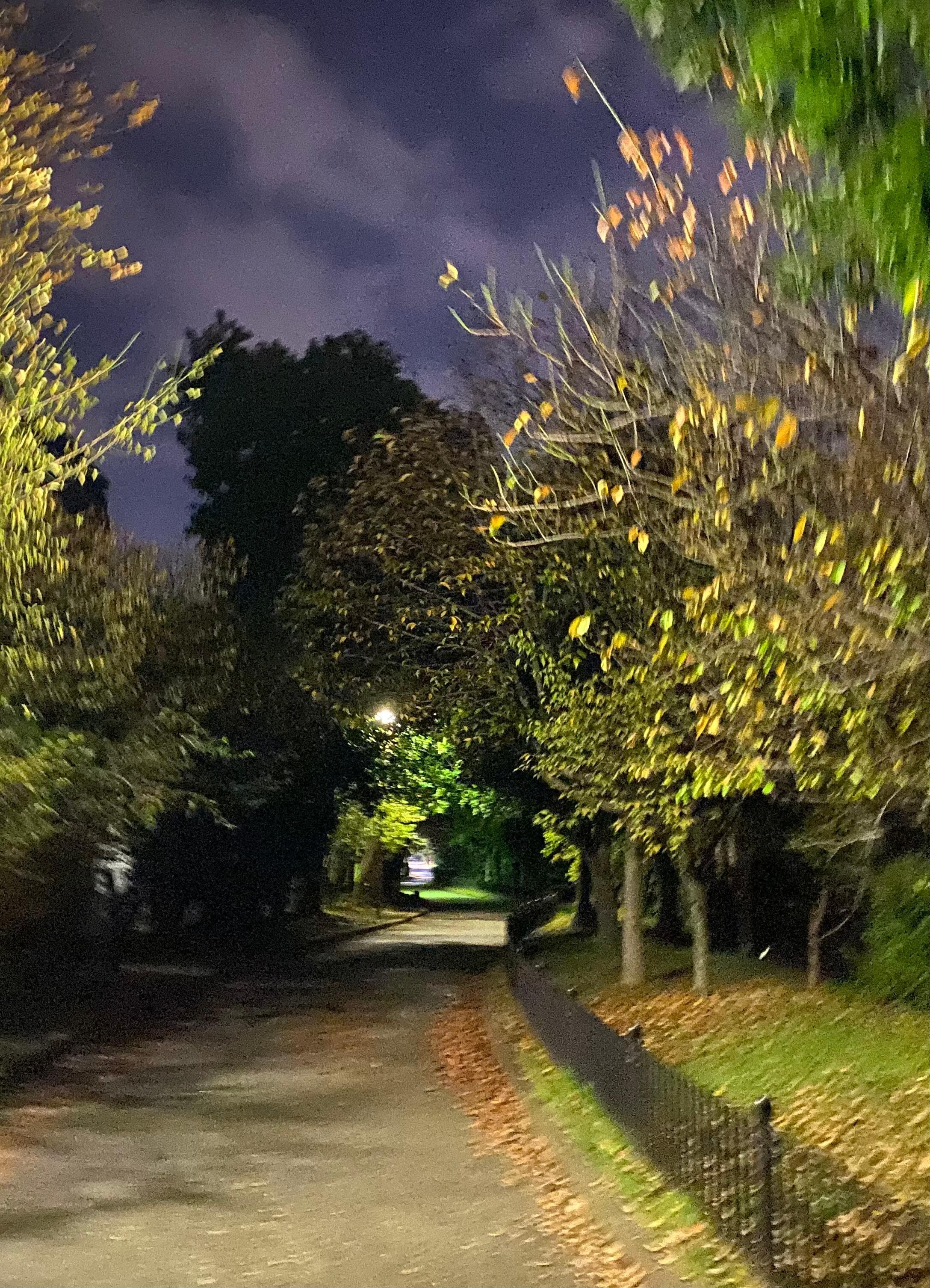 Greenway was great for walking so no worry about traffic. 