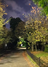 Greenway was great for walking so no worry about traffic.