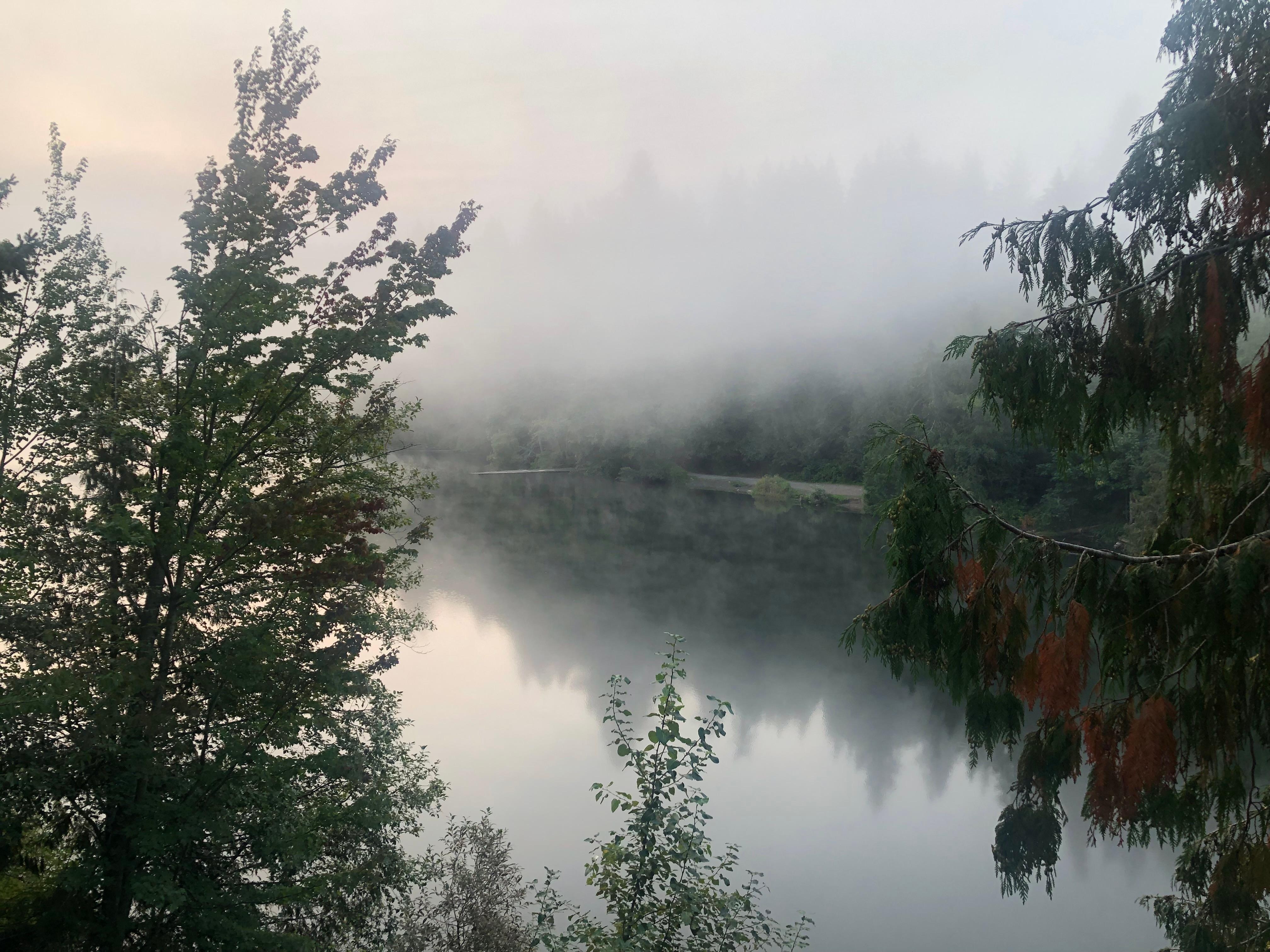 Early morning view from the balcony. 