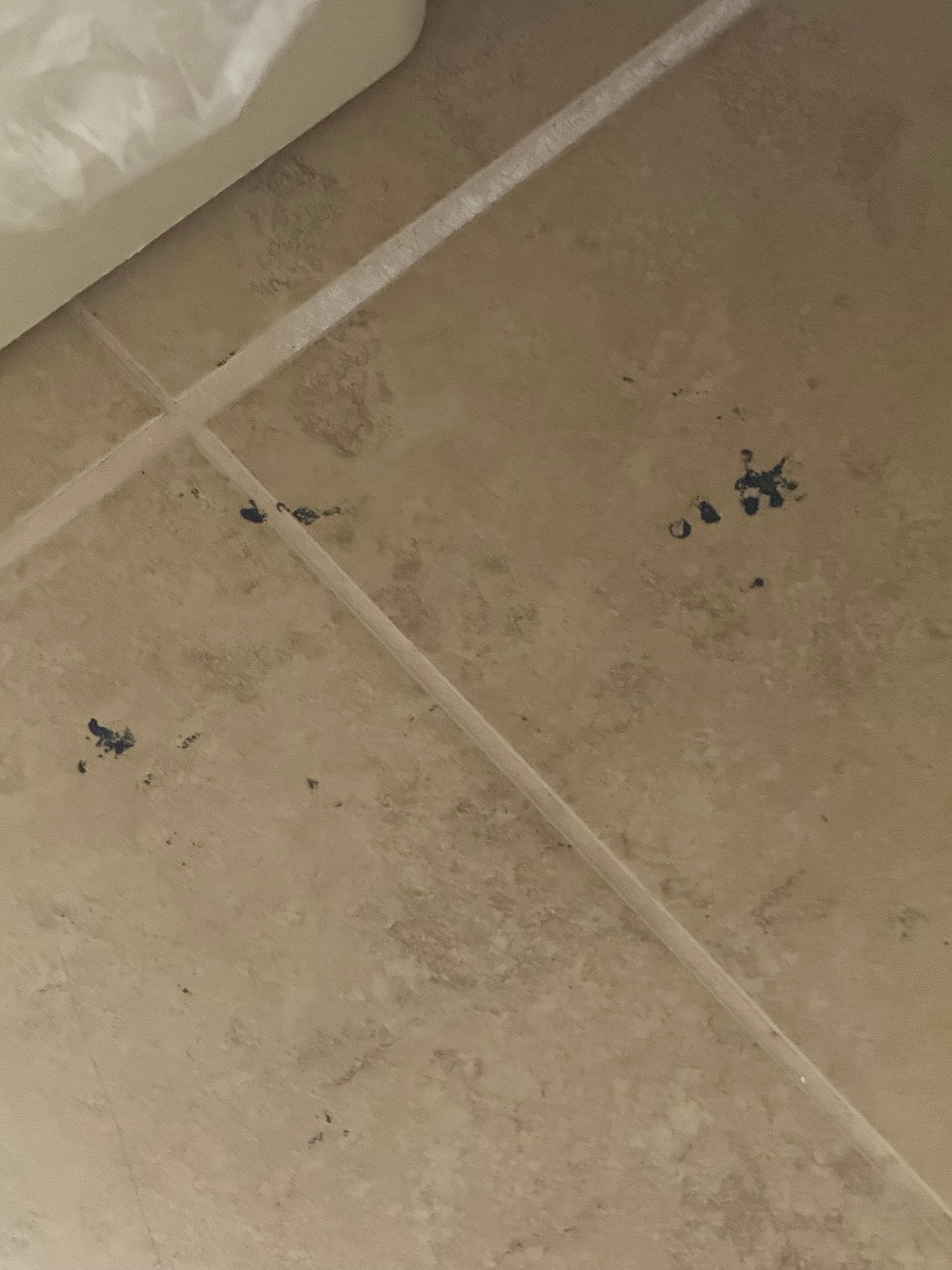 Dirty bathroom floor