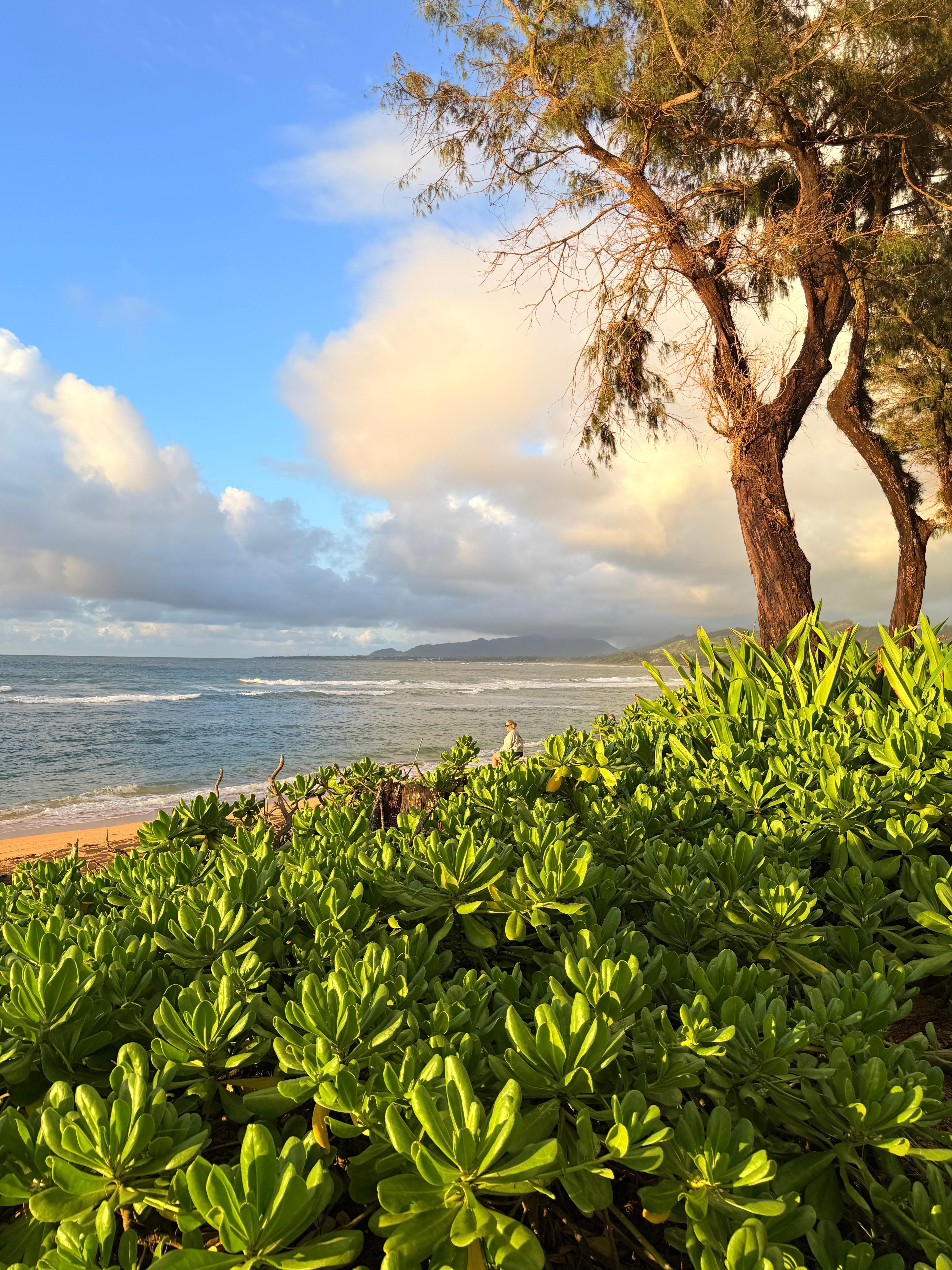 Just a short walk to the beach…