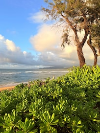 Just a short walk to the beach…