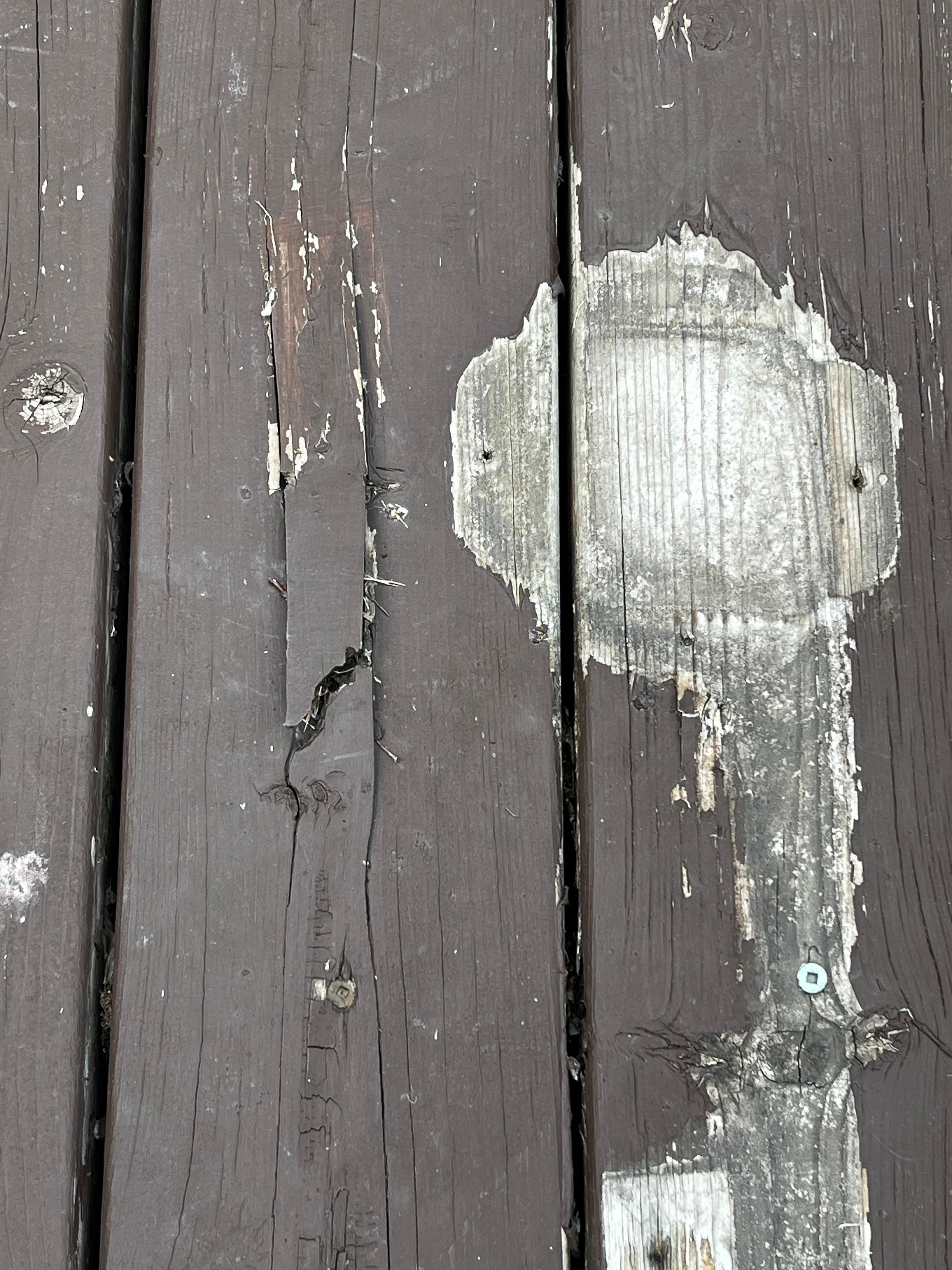 This was up about an inch.  We tripped on it