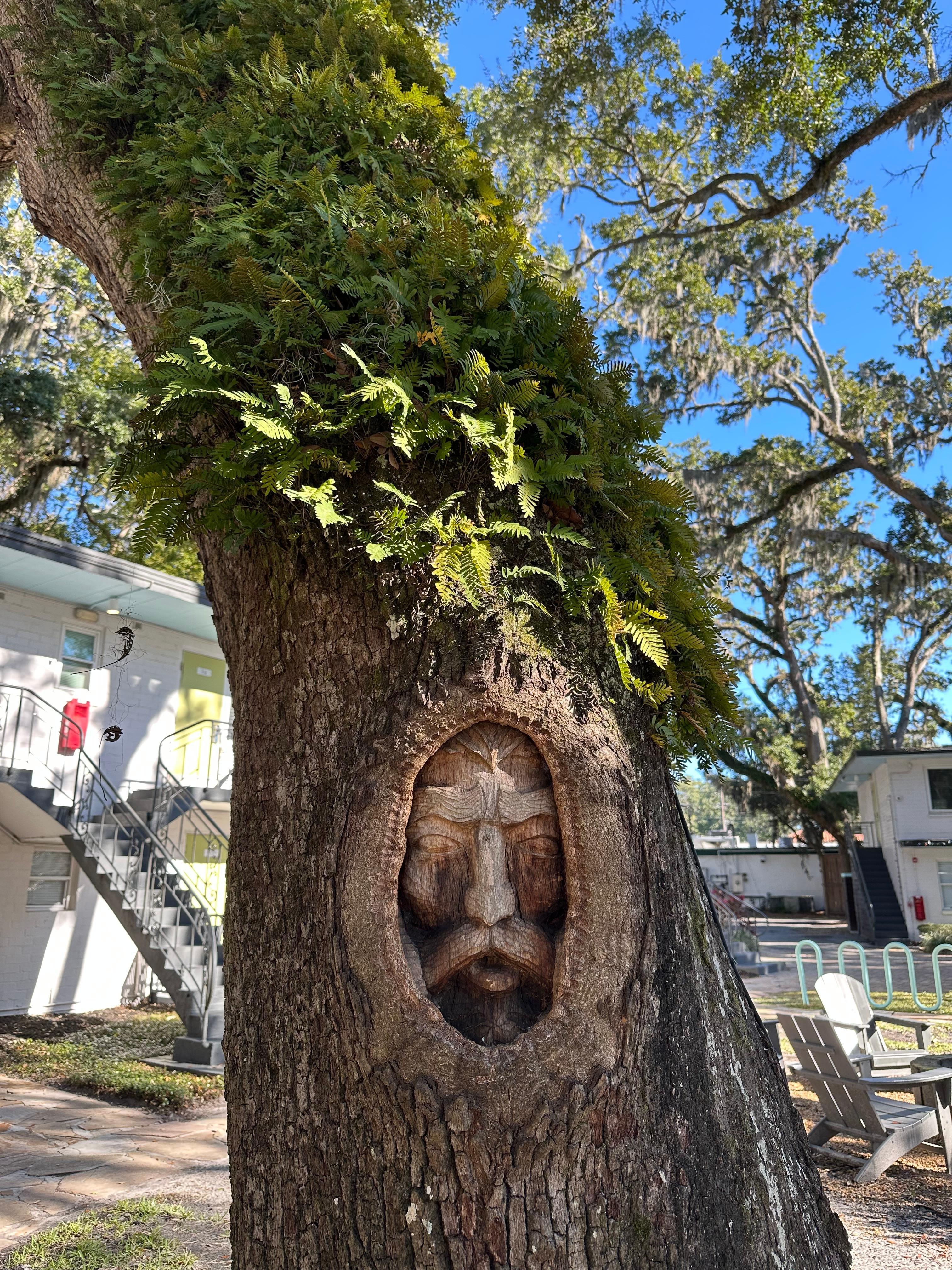 Another tree spirit