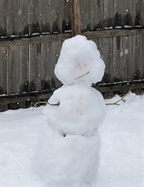 Backyard snowman building