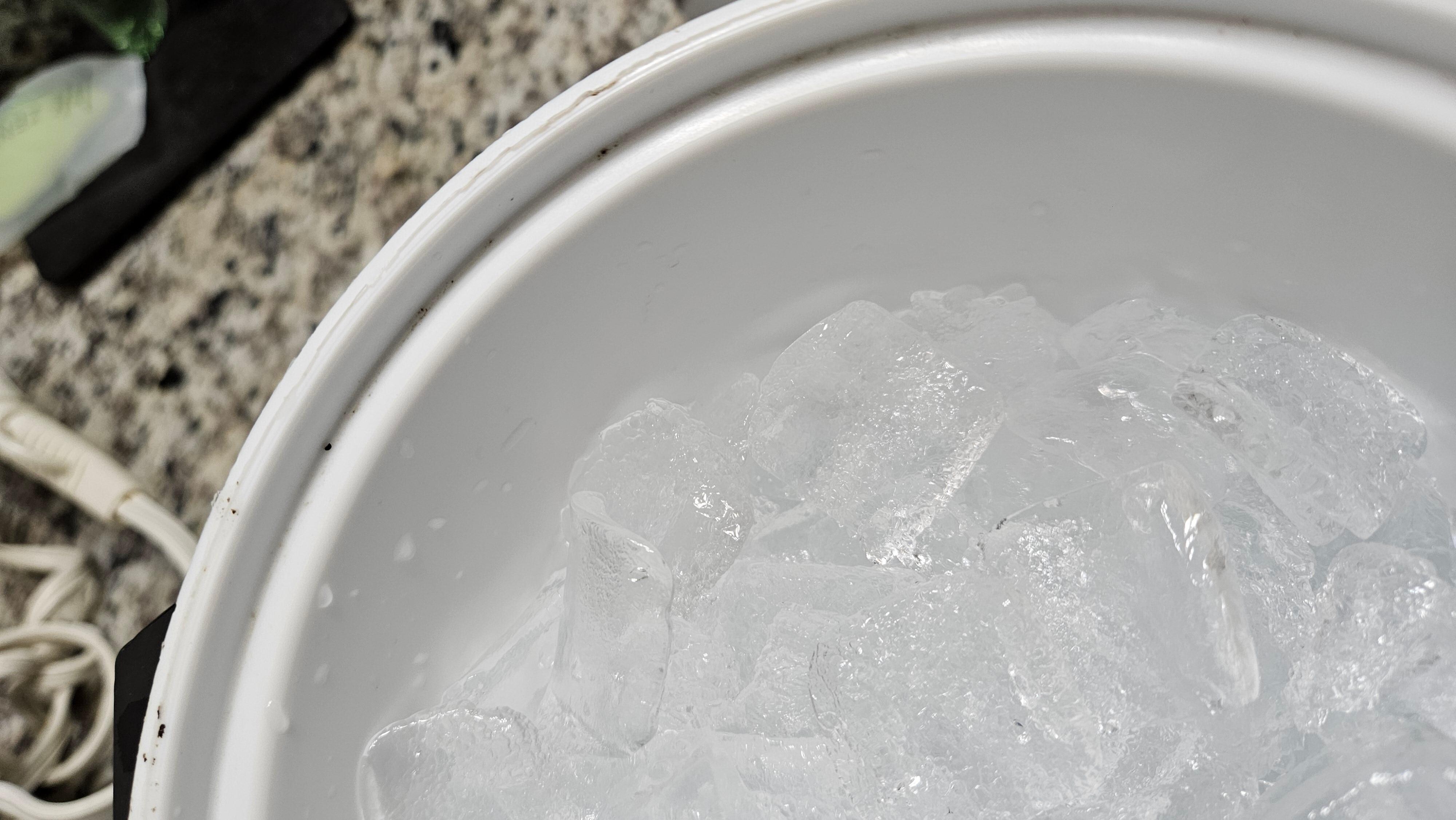 Mold from ice maker