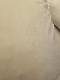 Bellows covers are dirty