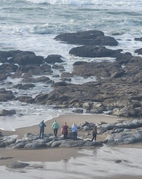 Family fun with tidal pools