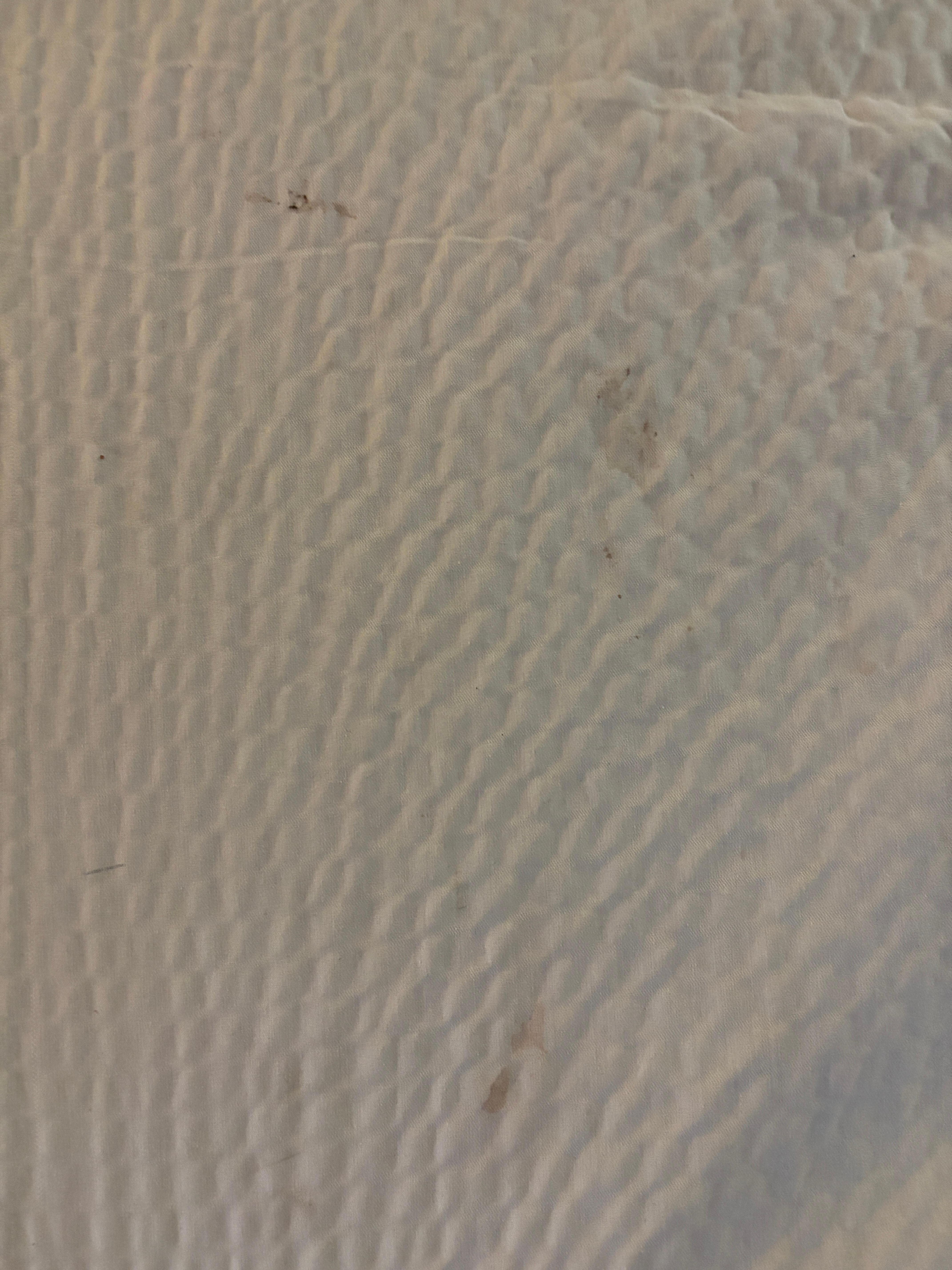Stains on the blanket 