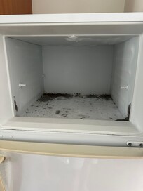 Second freezer