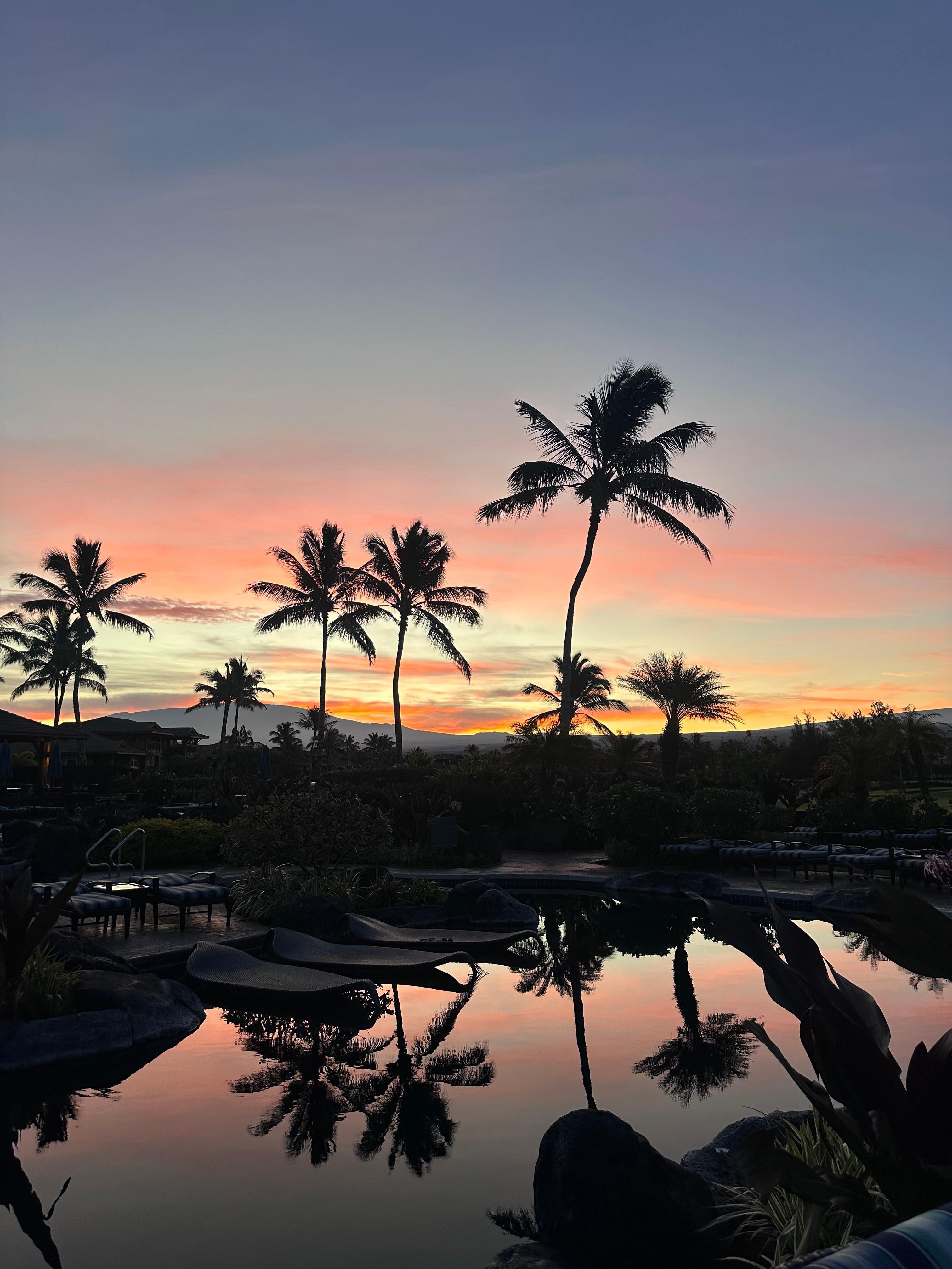View of pool at sunrise. 