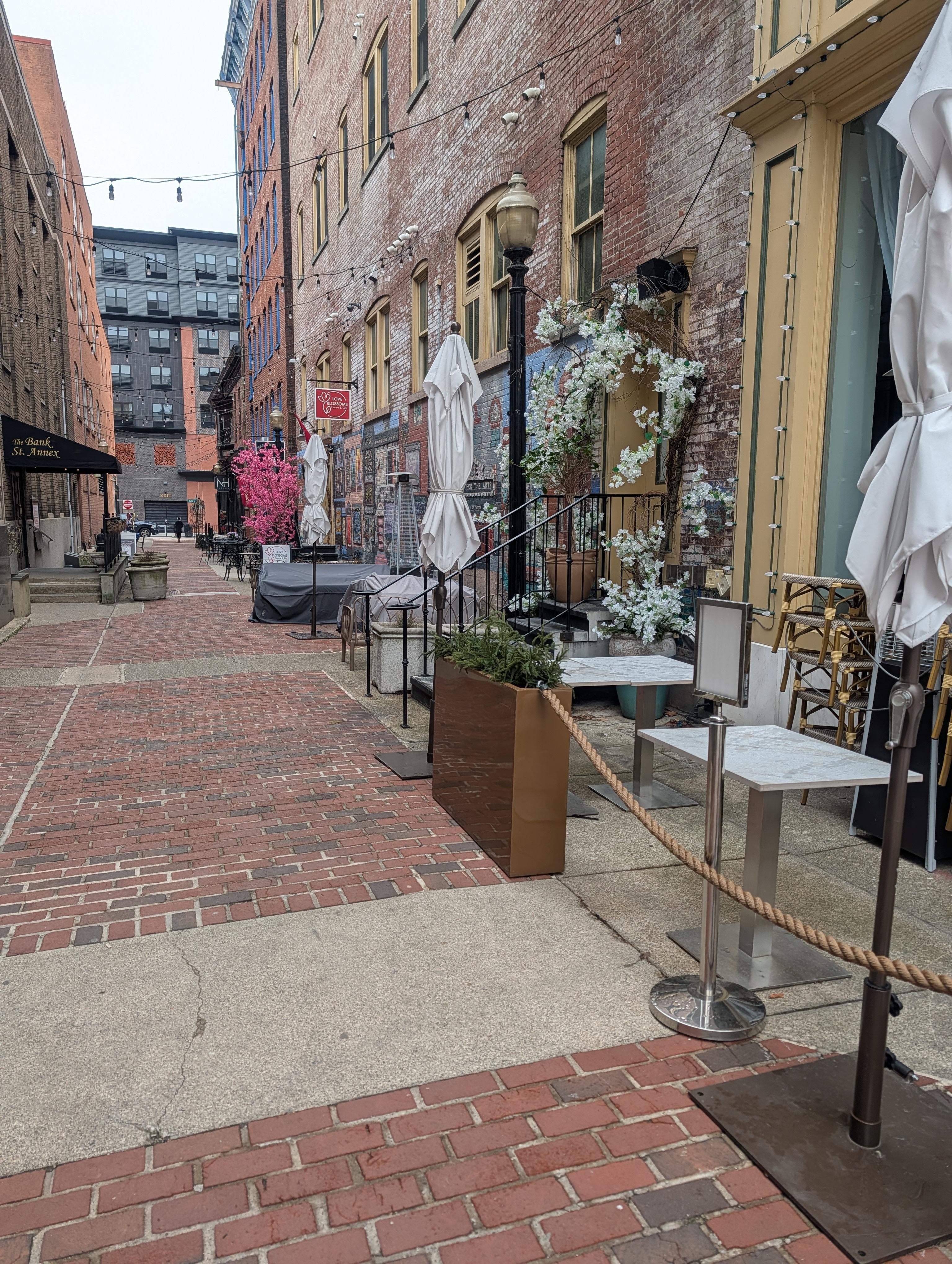 An alleyway of shops of interest 