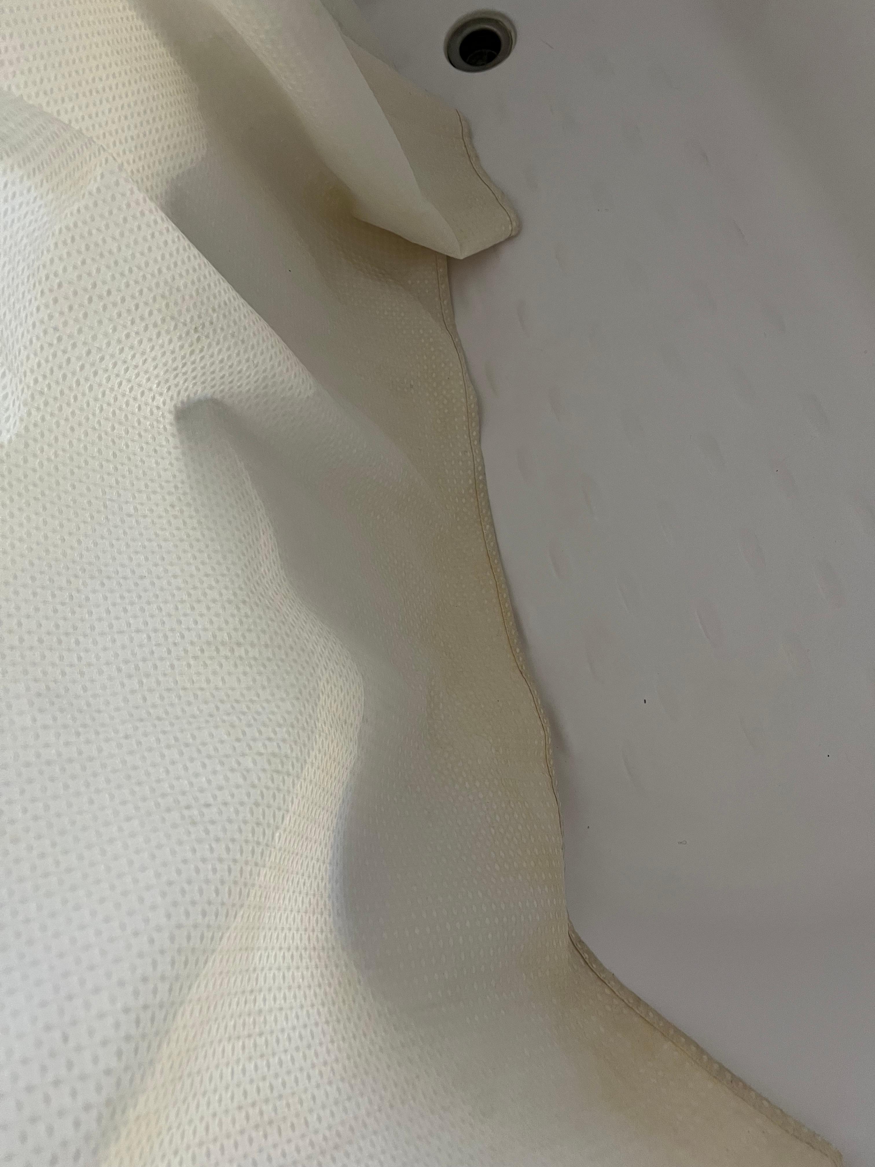 Bottom of shower curtain was filthy