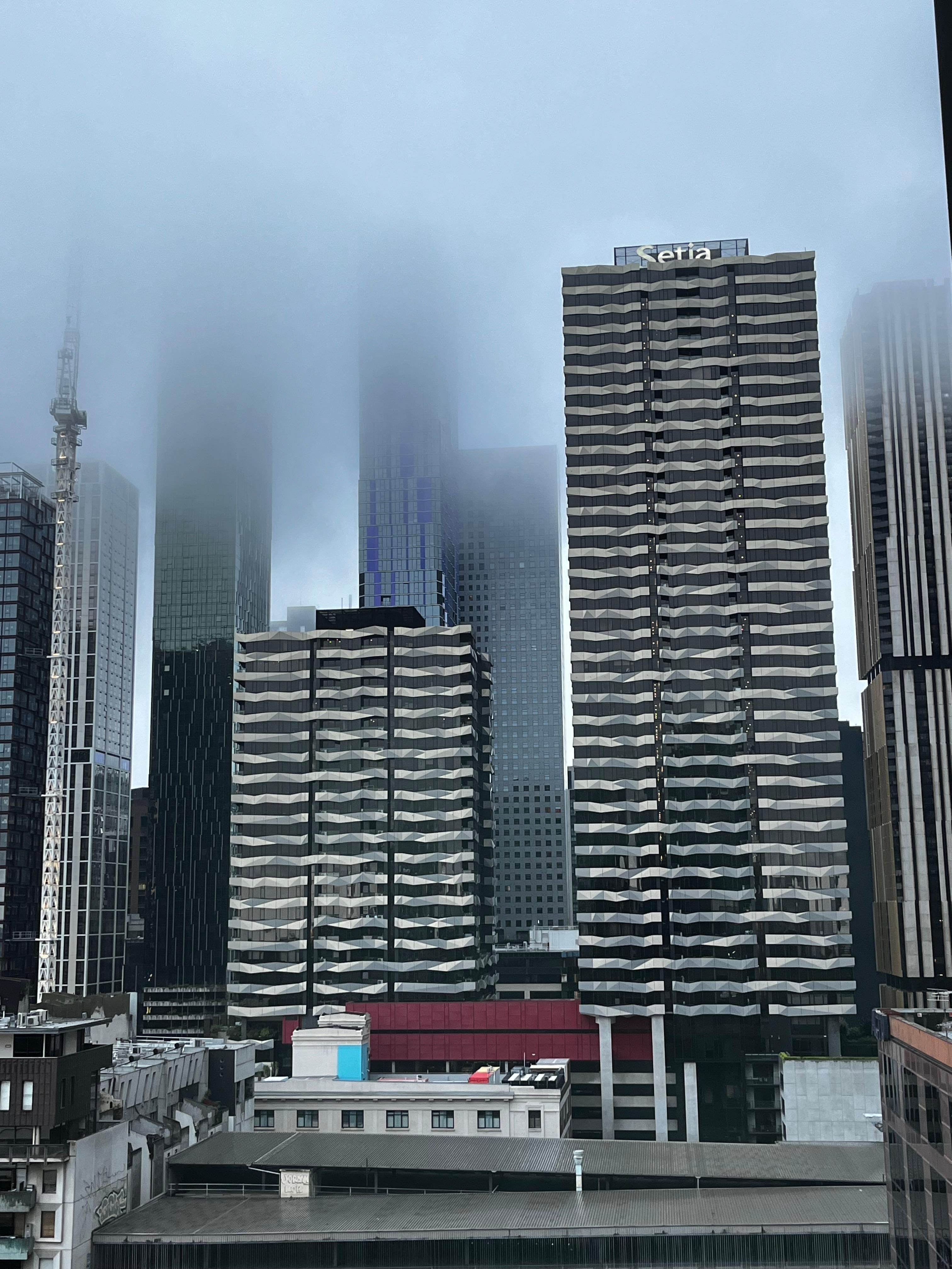 Typical Melbourne view from my window 