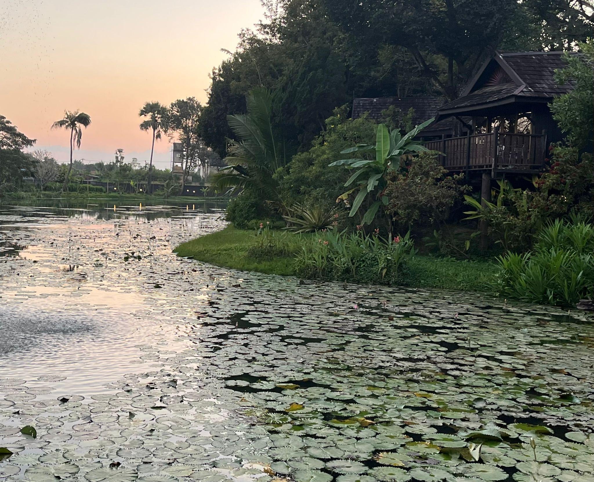 View from Deluxe Room 