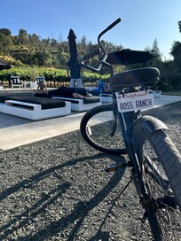Lazy afternoons at Ross Ranch. Peace, sunshine, and space to unwind.