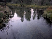 Reflections on the super-clear creek!