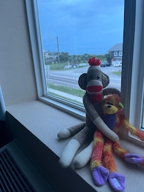 We brought along Sock Monkey and his friend, Sally. They loved the view from our window!